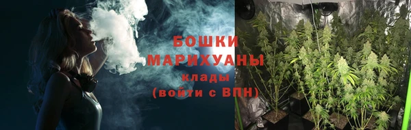 шишки Богородицк